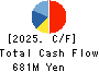 TETSUJIN Holdings,Inc. Cash Flow Statement 2025年8月期