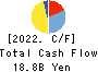 NITTO BOSEKI CO.,LTD. Cash Flow Statement 2022年Mar期 NITTO BOSEKI CO.,LTD. Cash Flow Statement 2022年3月期