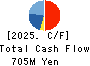 MIE CORPORATION CO.,LTD Cash Flow Statement 2025年3月期