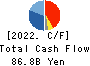 Niterra Co., Ltd. Cash Flow Statement 2022年Mar期 Niterra Co., Ltd. Cash Flow Statement 2022年3月期
