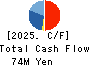 Netyear Group Corporation Cash Flow Statement 2025年3月期