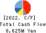 YONEX CO.,LTD. Cash Flow Statement 2022年3月期