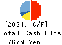 Global Security Experts Inc. Cash Flow Statement 2021年Mar期 Global Security Experts Inc. Cash Flow Statement 2021年3月期