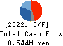 MANDOM CORPORATION Cash Flow Statement 2022年Mar期 MANDOM CORPORATION Cash Flow Statement 2022年3月期