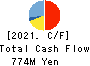 SAITA CORPORATION Cash Flow Statement 2021年6月期