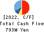 R&D COMPUTER CO.,LTD. Cash Flow Statement 2022年3月期