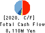 ASAHI KOGYOSHA CO.,LTD. Cash Flow Statement 2020年3月期