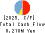 ICHIKEN Co.,Ltd. Cash Flow Statement 2025年Mar期 ICHIKEN Co.,Ltd. Cash Flow Statement 2025年3月期