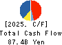 MatsukiyoCocokara & Co. Cash Flow Statement 2025年Mar期 MatsukiyoCocokara & Co. Cash Flow Statement 2025年3月期