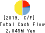 Daito Chemix Corporation Cash Flow Statement 2019年3月期