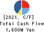 TOAMI CORPORATION Cash Flow Statement 2021年3月期