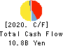 KANTO DENKA KOGYO CO.,LTD. Cash Flow Statement 2020年3月期