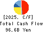 Toyo Seikan Group Holdings, Ltd. Cash Flow Statement 2025年Mar期 Toyo Seikan Group Holdings, Ltd. Cash Flow Statement 2025年3月期