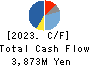 Nippon Pigment Company Limited Cash Flow Statement 2023年3月期