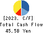 Tokuyama Corporation Cash Flow Statement 2023年3月期