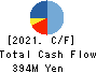 Bestone.Com Co.,Ltd Cash Flow Statement 2021年7月期