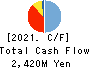 TOKYO BOARD INDUSTRIES CO.,LTD. Cash Flow Statement 2021年3月期