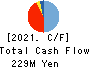 AppBank Inc. Cash Flow Statement 2021年12月期