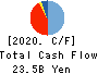 The Bank of Iwate, Ltd. Cash Flow Statement 2020年3月期