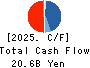 TEKKEN CORPORATION Cash Flow Statement 2025年Mar期 TEKKEN CORPORATION Cash Flow Statement 2025年3月期