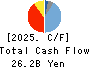 Taikisha Ltd. Cash Flow Statement 2025年Mar期 Taikisha Ltd. Cash Flow Statement 2025年3月期