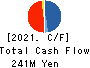 TECHNOLOGIES,Inc. Cash Flow Statement 2021年1月期