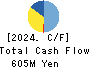 CHIeru Co.,Ltd. Cash Flow Statement 2024年3月期