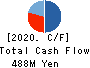 Cyfuse Biomedical K.K. Cash Flow Statement 2020年12月期