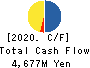 Nippon Dry-Chemical CO.,LTD. Cash Flow Statement 2020年3月期