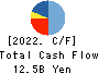 TOBISHIMA CORPORATION Cash Flow Statement 2022年3月期