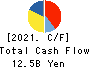 FANCL CORPORATION Cash Flow Statement 2021年3月期