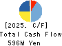 BroadBand Security, Inc. Cash Flow Statement 2025年6月期