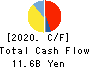 Kyodo Printing Co.,Ltd. Cash Flow Statement 2020年3月期