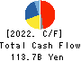TOSOH CORPORATION Cash Flow Statement 2022年3月期