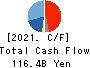 Shionogi & Co.,Ltd. Cash Flow Statement 2021年3月期