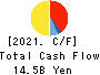 Daiei Kankyo Co.,Ltd. Cash Flow Statement 2021年3月期