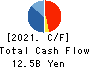 Tokushu Tokai Paper Co.,Ltd. Cash Flow Statement 2021年3月期