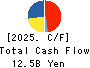 Sakai Chemical Industry Co.,Ltd. Cash Flow Statement 2025年3月期