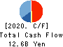OBIC BUSINESS CONSULTANTS CO.,LTD. Cash Flow Statement 2020年Mar期 OBIC BUSINESS CONSULTANTS CO.,LTD. Cash Flow Statement 2020年3月期