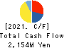NANKAI CHEMICAL COMPANY,LIMITED Cash Flow Statement 2021年3月期