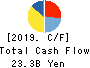 TOKYO OHKA KOGYO CO.,LTD. Cash Flow Statement 2019年12月期