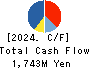 IBJ,Inc. Cash Flow Statement 2024年Dec期 IBJ,Inc. Cash Flow Statement 2024年12月期