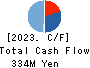 BTM,Inc. Cash Flow Statement 2023年3月期