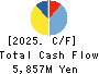 KYOWA LEATHER CLOTH CO.,LTD. Cash Flow Statement 2025年3月期