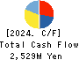 SANKO TECHNO CO.,LTD. Cash Flow Statement 2024年Mar期 SANKO TECHNO CO.,LTD. Cash Flow Statement 2024年3月期