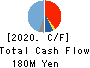 Yashima & Co.,Ltd. Cash Flow Statement 2020年3月期