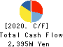 ICHIKAWA CO.,LTD. Cash Flow Statement 2020年3月期