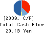 Shinki Co.,Ltd. Cash Flow Statement 2009年3月期