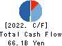 KANSAI PAINT CO.,LTD. Cash Flow Statement 2022年3月期