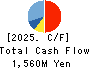 VIS co.ltd. Cash Flow Statement 2025年Mar期 VIS co.ltd. Cash Flow Statement 2025年3月期
